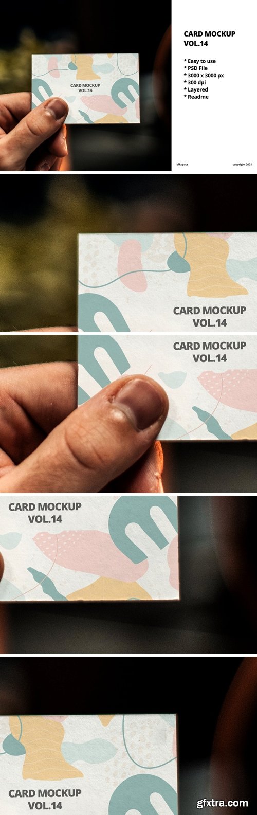 Card Mockup Vol.14