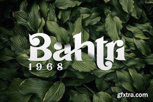 Gafiera Font