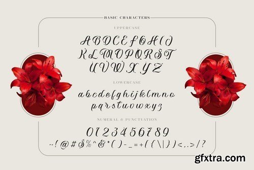 Vaclice Script Font