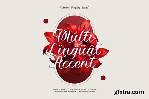 Vaclice Script Font