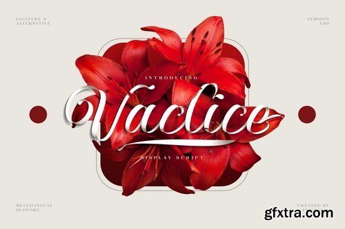 Vaclice Script Font