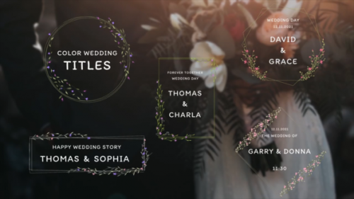 Videohive - Color Wedding Titles - 34854288 - 34854288