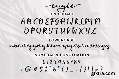 Eagle Script Font