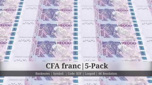 Videohive - CFA franc | West African States Currency - 5 Pack | 4K Resolution | Looped - 34934065 - 34934065