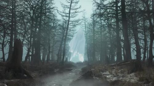 Videohive - Loop Daytime Scary Forest with Flying Ghosts - 34858917 - 34858917