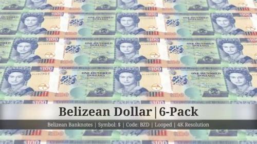 Videohive - Belizean Dollar | Belize Currency - 6 Pack | 4K Resolution | Looped - 34882991 - 34882991