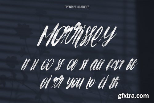 Crash Struck Handwritten Script Font