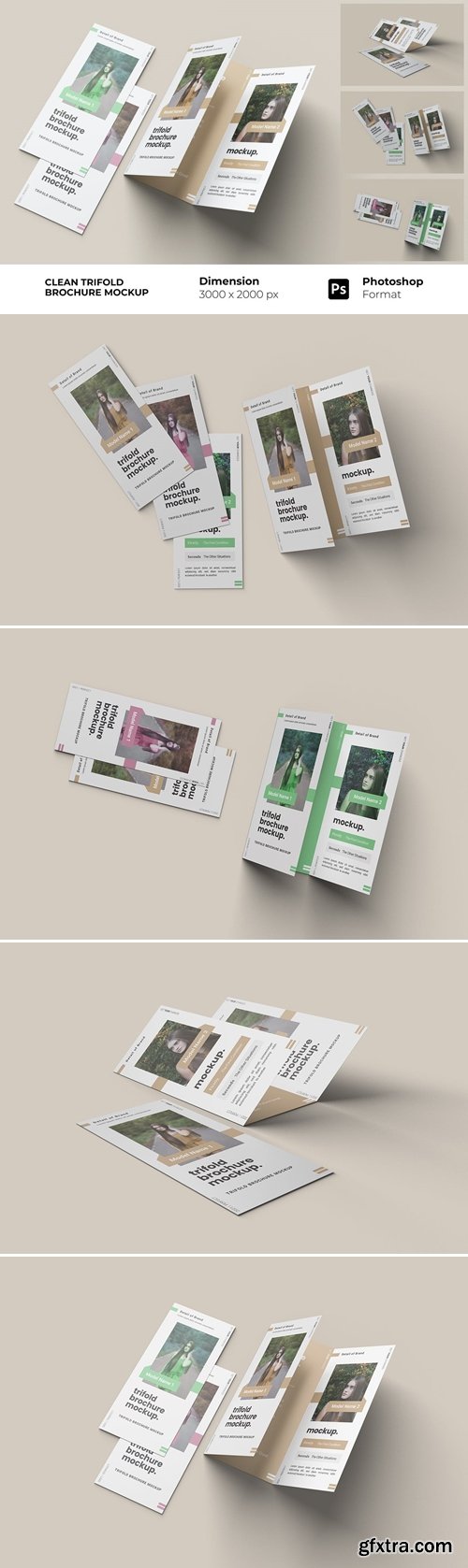 Clean Trifold Brochure Mockup