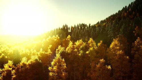 Videohive - Bright Sunset in the Mountains - 34949301 - 34949301