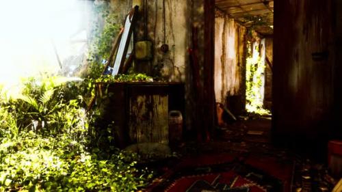 Videohive - Ruined Abandoned Overgrown By Plants Interior - 34961825 - 34961825