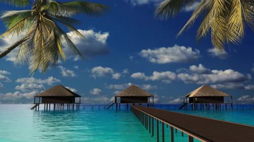 Videohive - Rest on the sea and on the beach with palm trees. Maldives hotel on the water. - 34959224 - 34959224