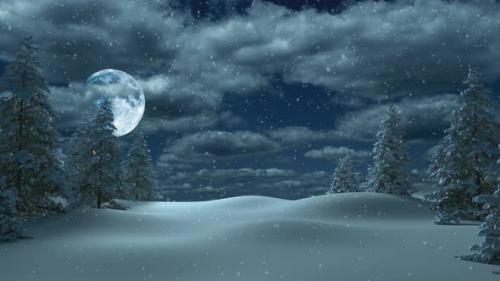 Videohive - Christmas and New Year forest with snow and fir trees and the moon is shining. - 34959225 - 34959225