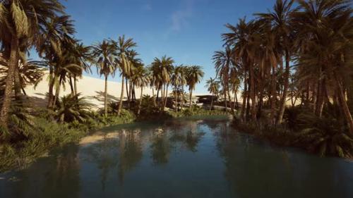 Videohive - Idyllic Oasis in the Sahara Desert - 34931113 - 34931113