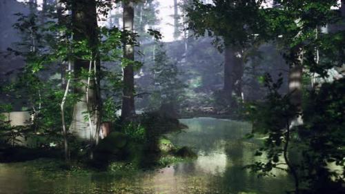Videohive - Sunrise with Sunbeams Through the Forest By the Lake - 34931116 - 34931116