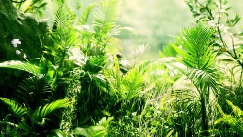 Videohive - Close Up Jungle Grass and Plants - 34947748 - 34947748