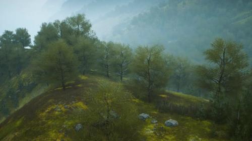 Videohive - Small Green Trees on Hills in Fog - 34948520 - 34948520