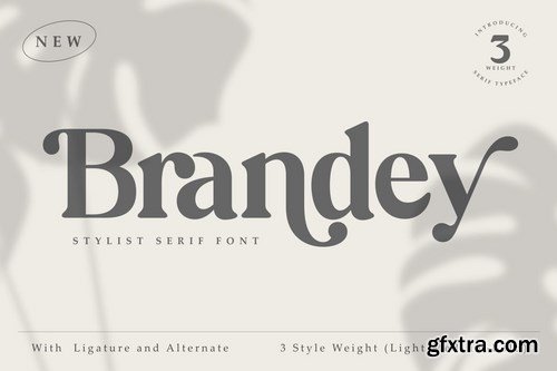 Brandey Stylist Serif Font
