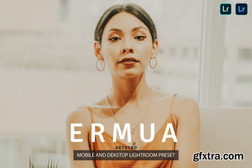 Ermua Lightroom Presets Dekstop and Mobile