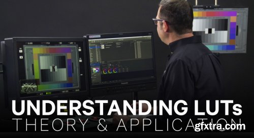 MZED - Understanding LUTs: Theory and Application