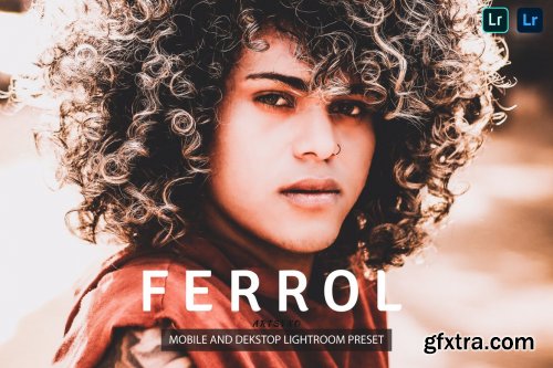 Ferrol Lightroom Presets Dekstop and Mobile