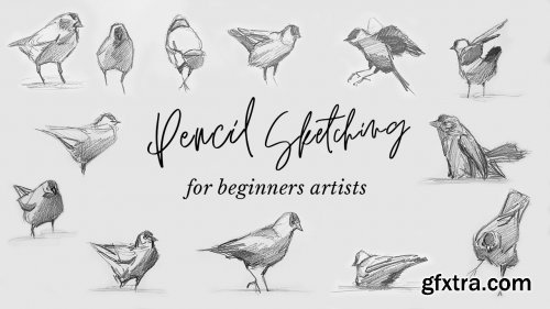  Pencil Sketching for Beginner Artists: Improve Your Technique With Quick & Loose Animal Drawings