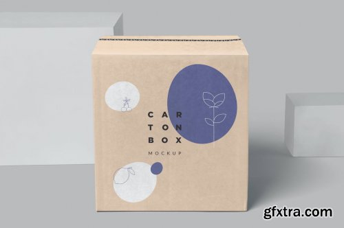 Carton Box Mockups