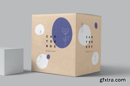 Carton Box Mockups