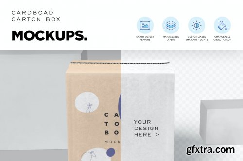 Carton Box Mockups