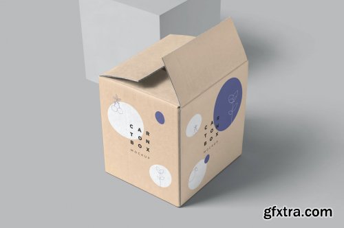 Carton Box Mockups