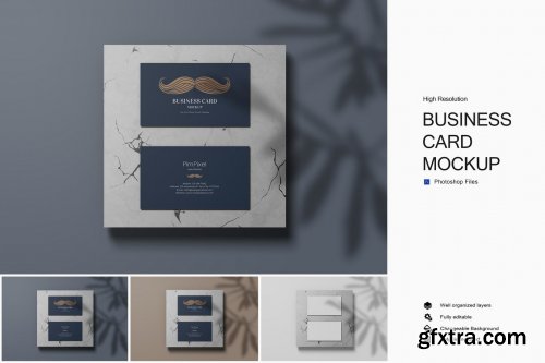 Business Card Mockup 2