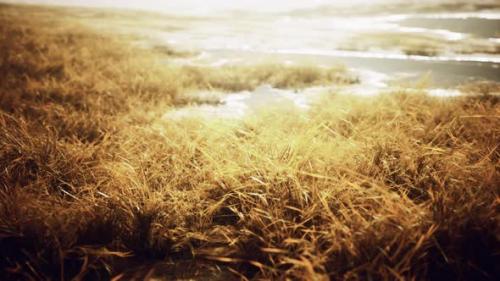 Videohive - Yellow Dry Grass on the Mountain in Autumn - 35006461 - 35006461