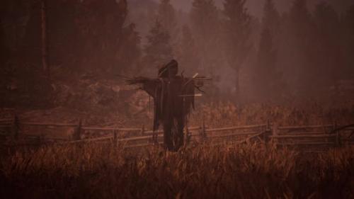 Videohive - Terrible Scarecrow in Dark Cloak and Dirty Hat Stands Alone in Autumn Field - 35006536 - 35006536