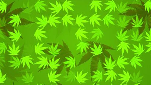 Videohive - 4k Cannabis Leafs. Looped background - 34975009 - 34975009