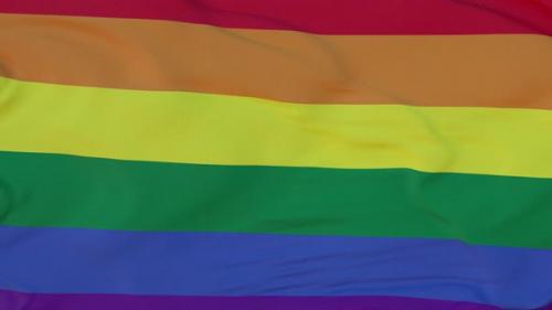 Videohive - Realistic Flag of LGBT Pride Waving in the Wind - 35046051 - 35046051