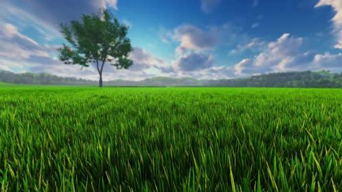 Videohive - Green Landscape With Lonely Tree- HD - 35046156 - 35046156