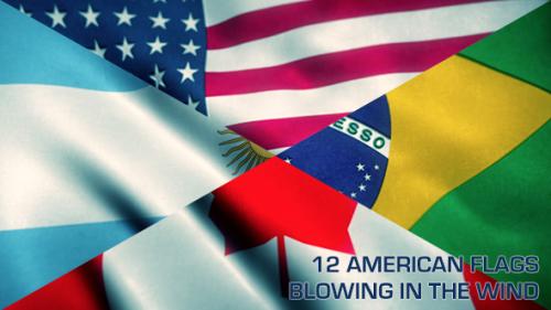 Videohive - 12 American Flags Blowing in the Winds - 20062438 - 20062438