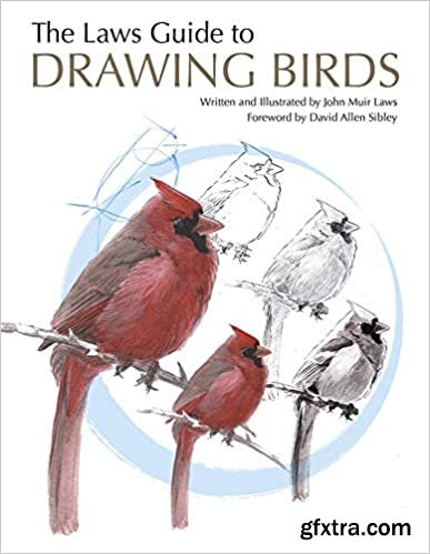 The Laws Guide to Drawing Birds