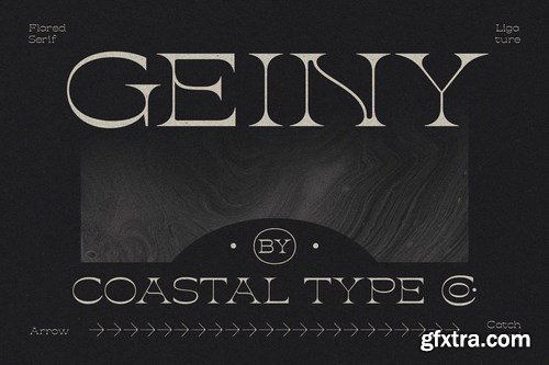 Geiny Font