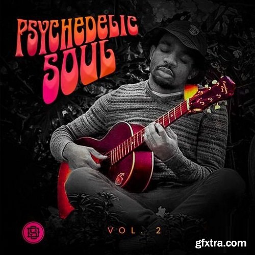 Divided Souls Psychedelic Soul Vol 2 WAV