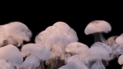 Videohive - Mushroom Smoke Rising 2 HD - 35085261 - 35085261