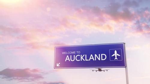 Videohive - Auckland City Sign Plane Landing in Daylight - 35094929 - 35094929