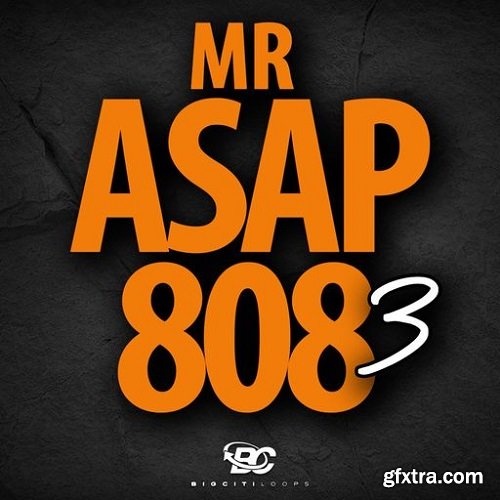 Big Citi Loops Mr ASAP 808 3 WAV