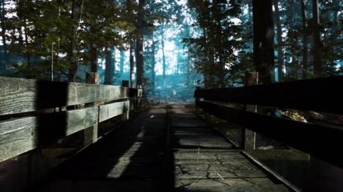 Videohive - Old Wooden Bridge Over a Small Stream in a Park - 35144123 - 35144123