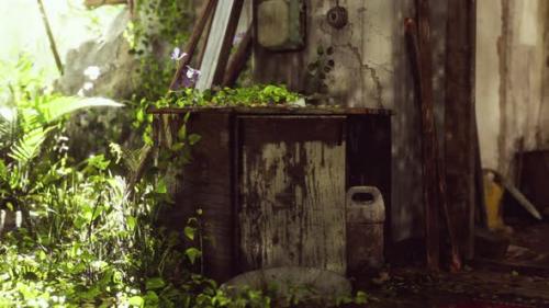 Videohive - Ruined Abandoned Overgrown By Plants Interior - 35149329 - 35149329