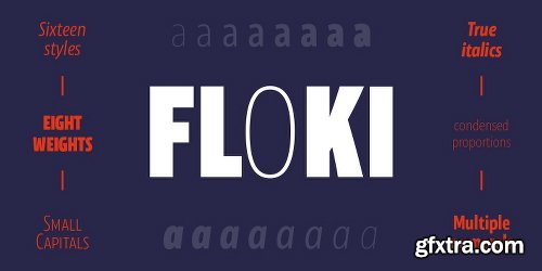 Floki  Font Family - 16 Fonts