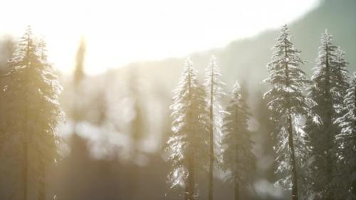 Videohive - Dramatic Winter Sunrise in the Mountains - 35165518 - 35165518