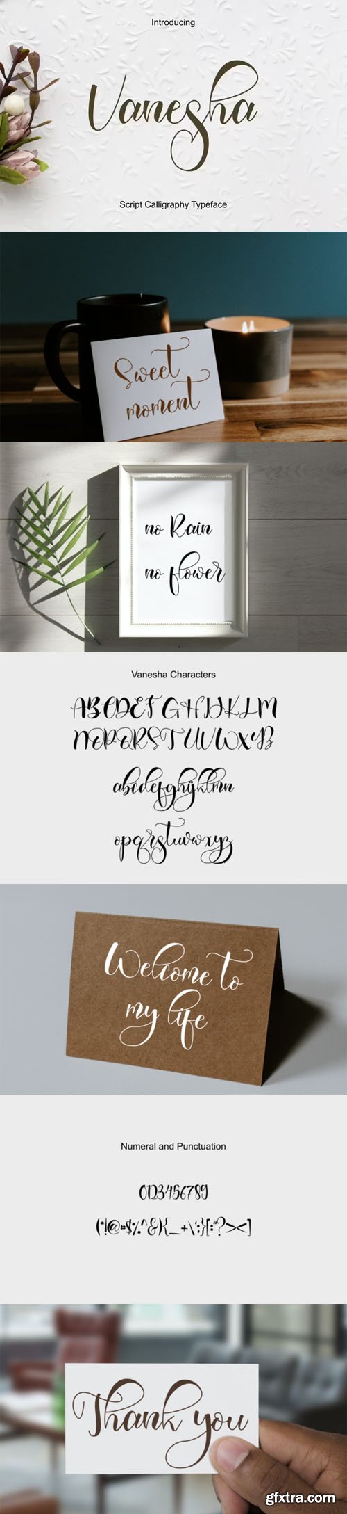 Vanesha Script - Lettered Calligraphy Typeface