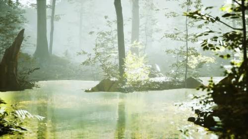 Videohive - Sunrise with Sunbeams Through the Forest By the Lake - 35165153 - 35165153