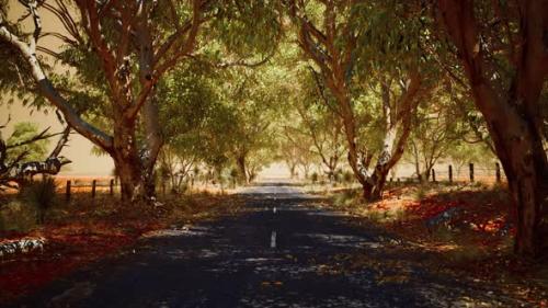 Videohive - Open Road in Australia with Bush Trees - 35167434 - 35167434