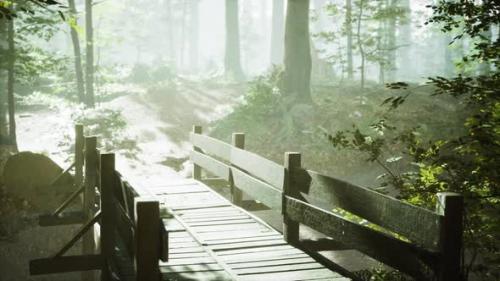 Videohive - Old Wooden Bridge Over a Small Stream in a Park - 35167449 - 35167449